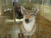 IMG_1489.jpg, 26kB